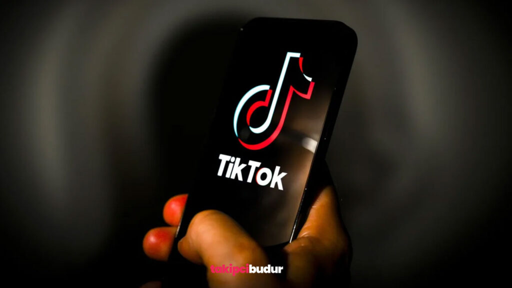 Çalınan Tiktok Hesabı Nasıl Geri Alınır